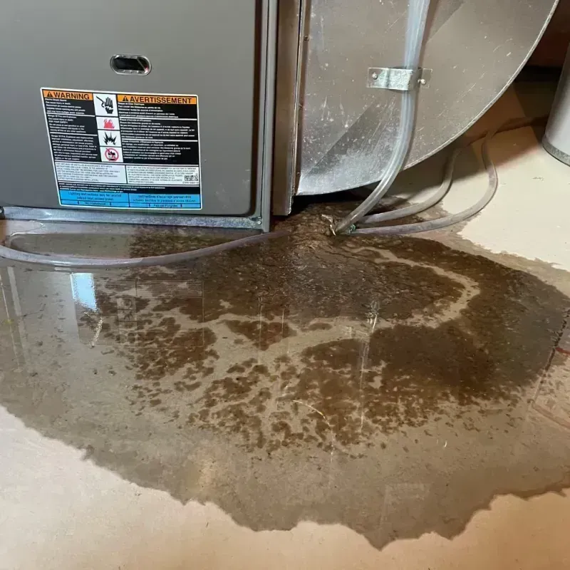 Appliance Leak Cleanup in Winfield, IL